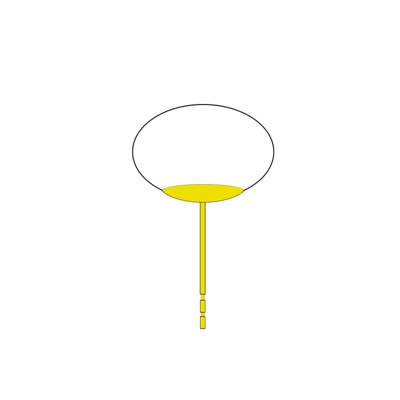 Ø 9-9.5 mm Süßwasserperlen Button OS  I  14kt Gelbgold