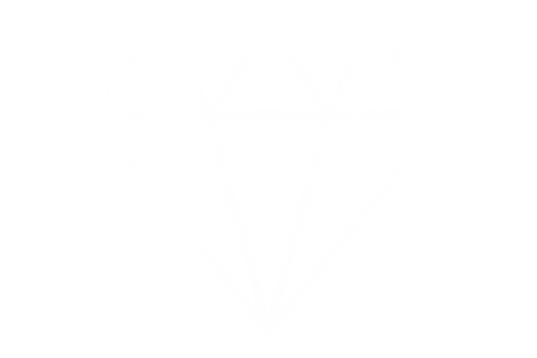diamant schliff